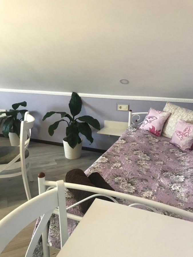 Villa Galicia Берегово Екстериор снимка