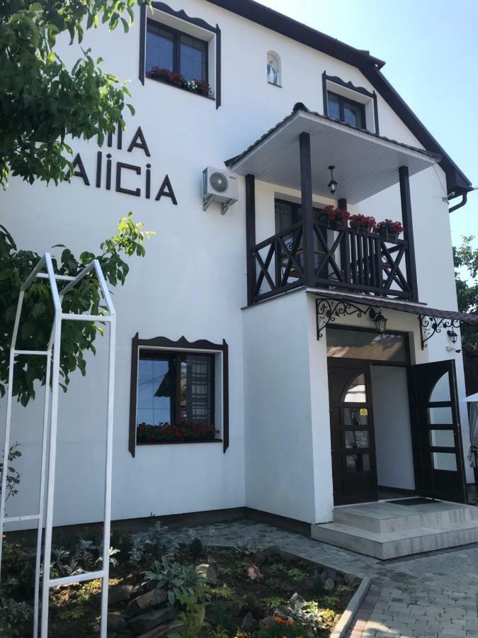 Villa Galicia Берегово Екстериор снимка